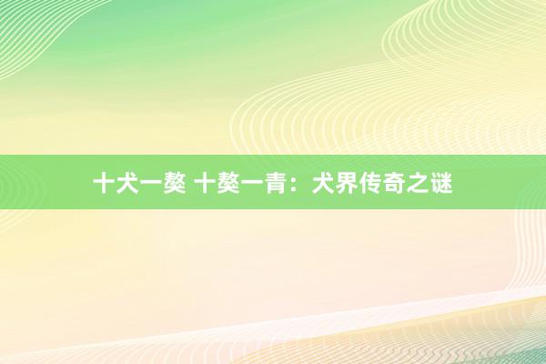 十犬一獒 十獒一青:犬界传奇之谜
